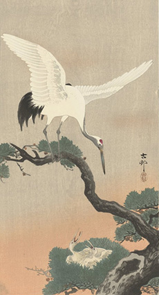 Grue japonaise sur une branche de pin par Ohara Koson, 1900-30 Estampe japonaise, gravure sur bois en couleur - Japanese crane on a pine branch by Oha
